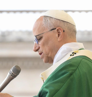 Papa León XIV en la santa misa en la plaza De San Pedro (©Vaticanista News)